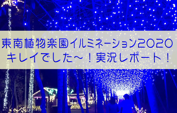 東南植物楽園イルミネーション 21感想 画像付で紹介 はまみライフワーク デザイン