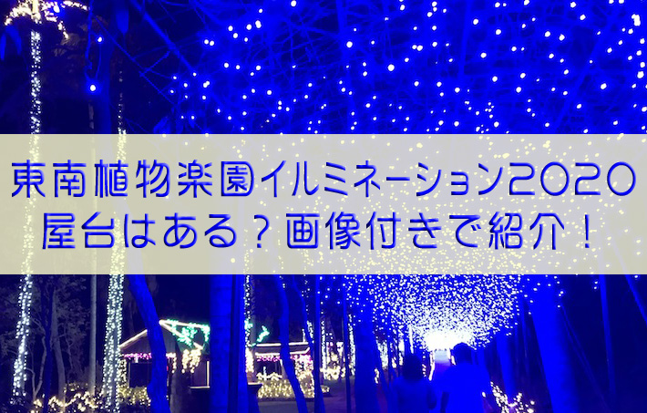 東南植物楽園イルミネーション 21屋台はある 画像も はまみライフワーク デザイン